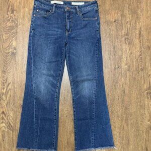 Pilcro and the Letterpress Anthropologie Flare Leg Jeans